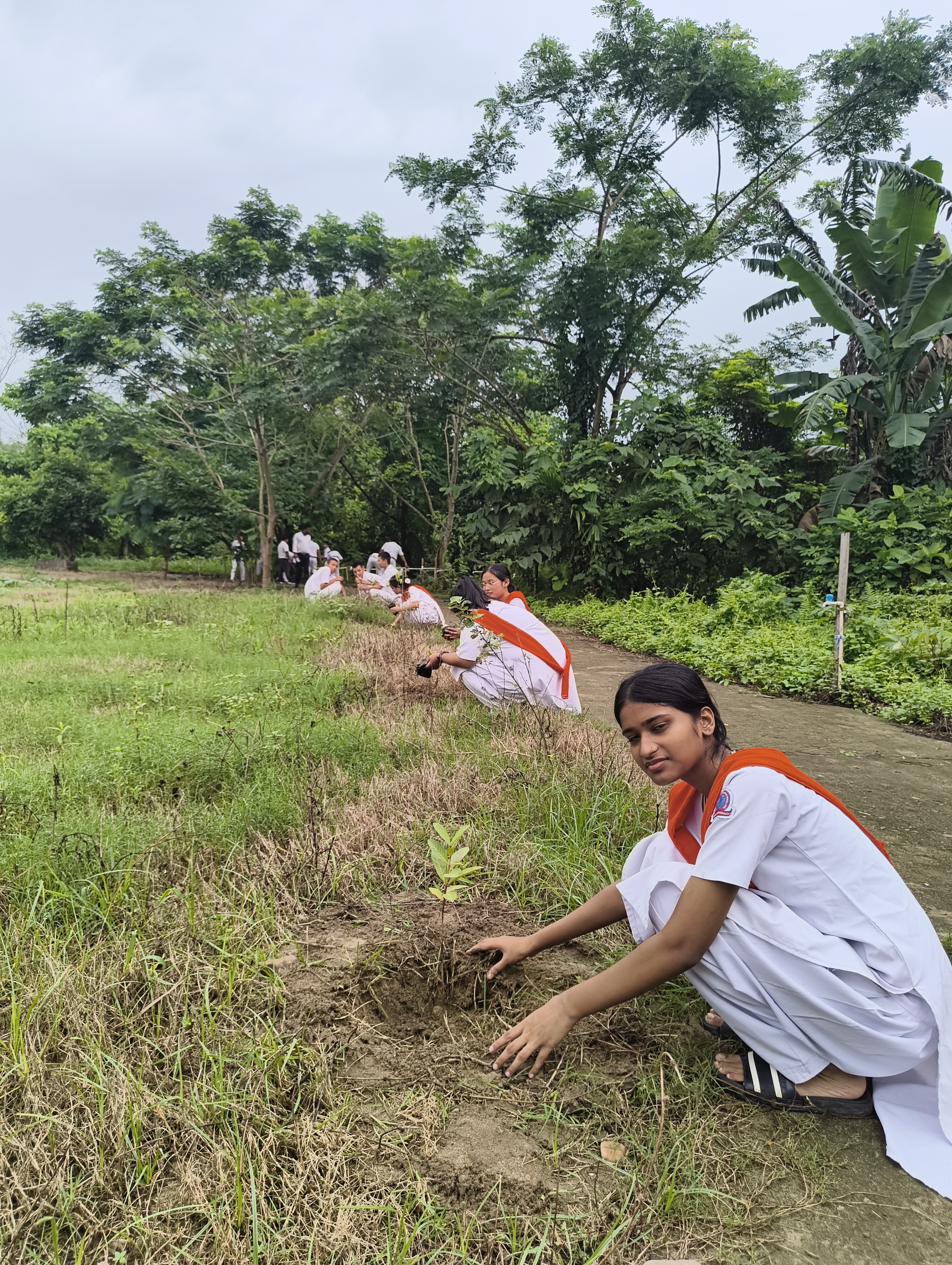 World Environment Day Observation